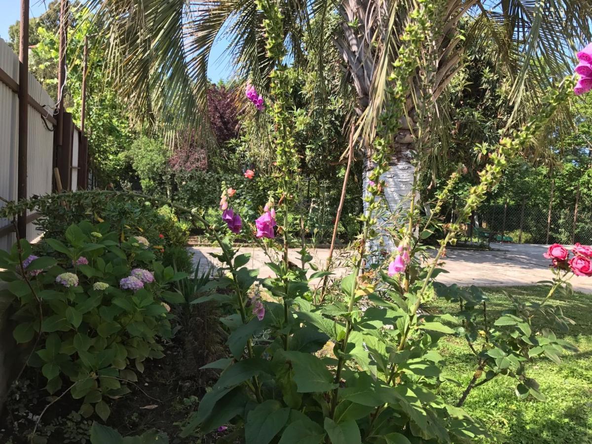 Guest House Evkalipt ออชัมชีรา ภายนอก รูปภาพ